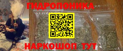 apvp Камышлов