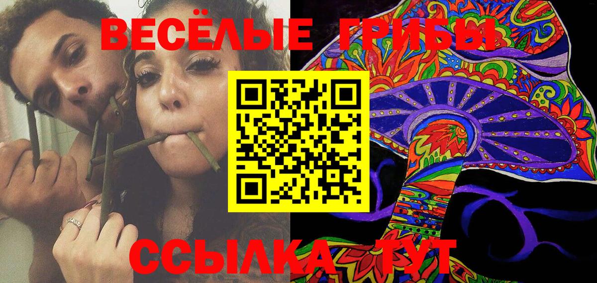 Галлюциногенные грибы Psilocybe Дальнереченск